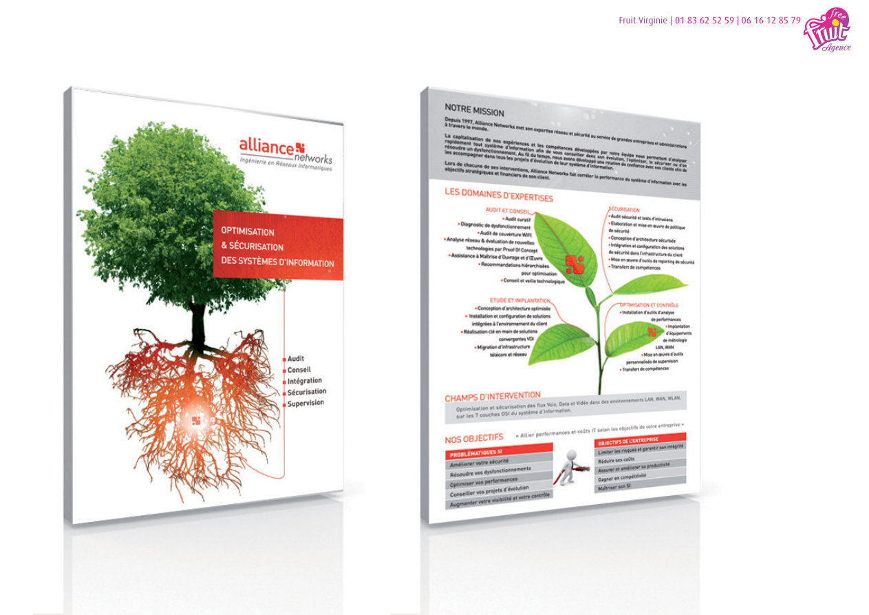 Alliance Networks - Plaquette institutionnelle