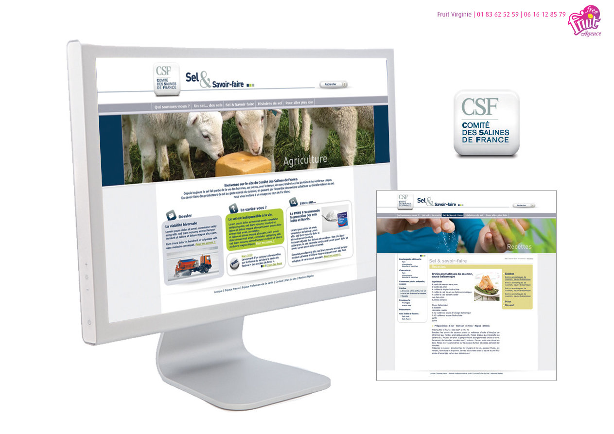 CSF Sel et Savoir-faire - Site internet